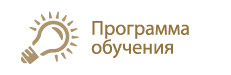 Программа обучения